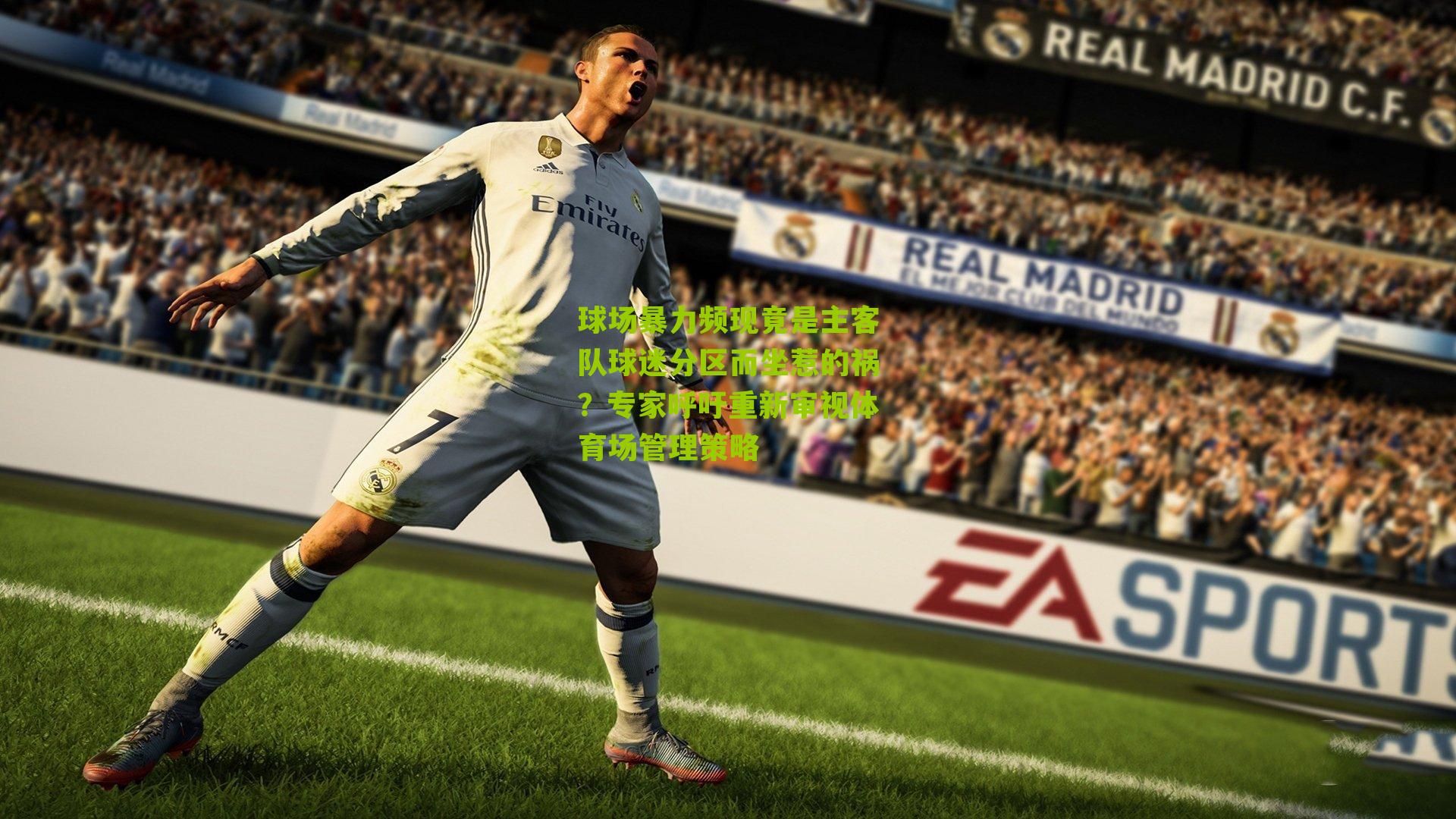 球场暴力频现竟是主客队球迷分区而坐惹的祸？专家呼吁重新审视体育场管理策略