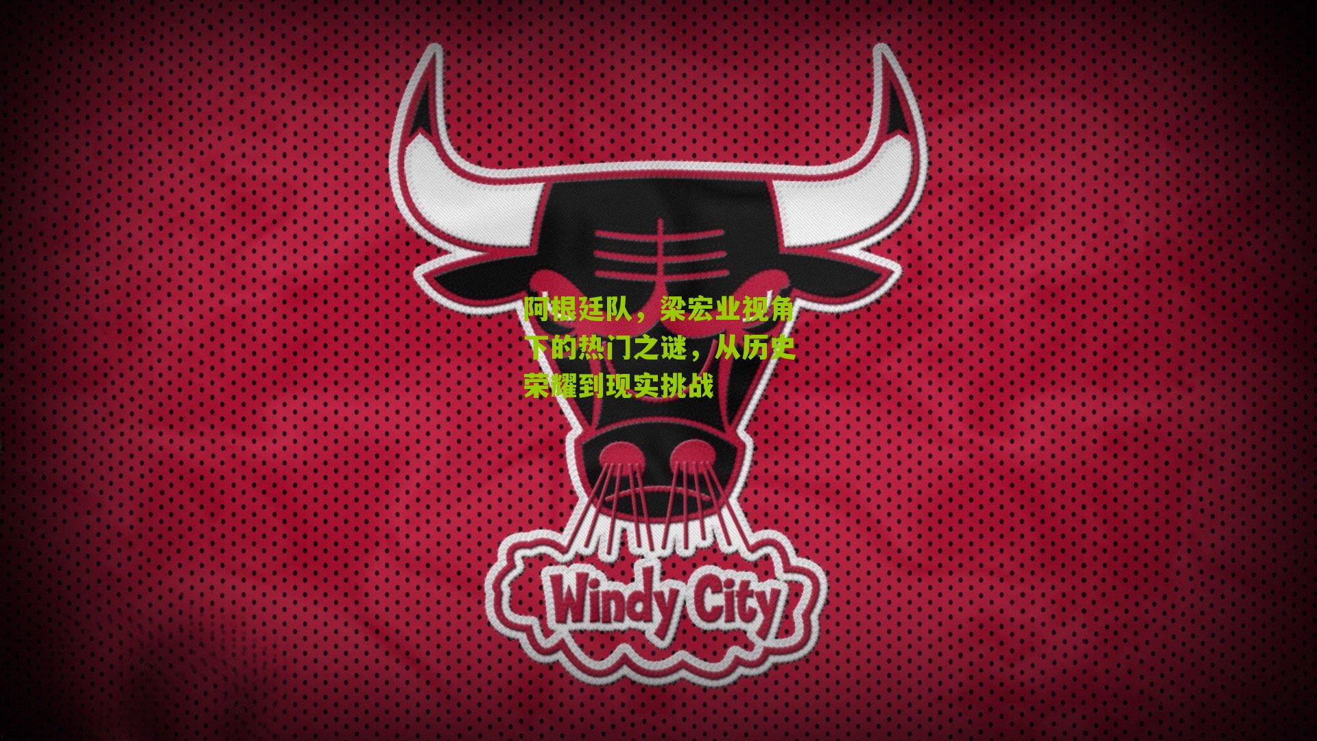 阿根廷队，梁宏业视角下的热门之谜，从历史荣耀到现实挑战