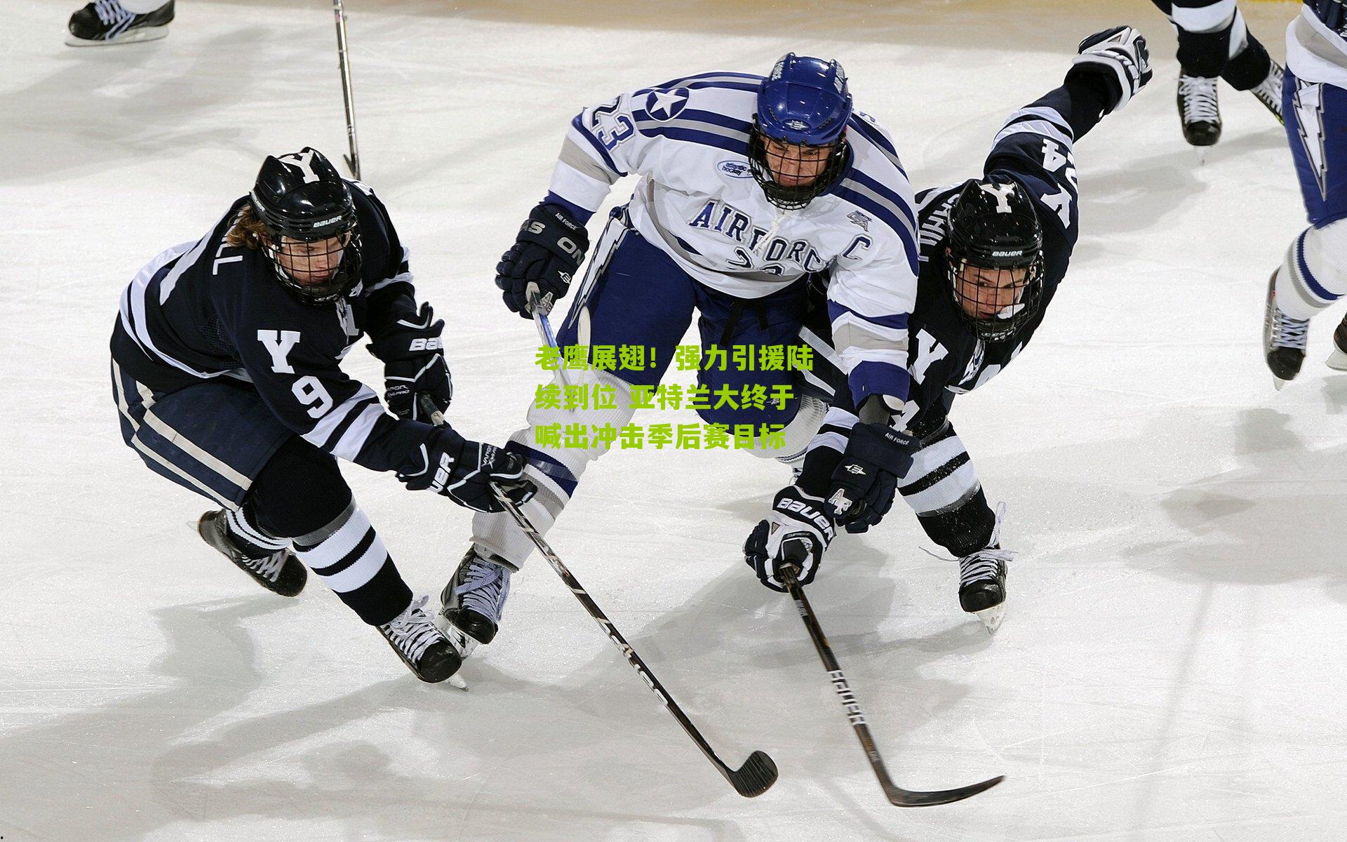 老鹰展翅！强力引援陆续到位 亚特兰大终于喊出冲击季后赛目标